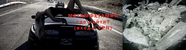 шишки Тайга