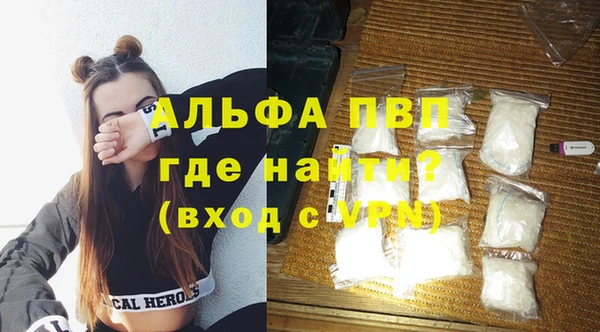 шишки Тайга