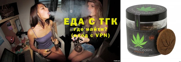 шишки Тайга