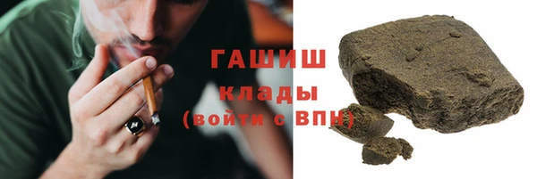 шишки Тайга