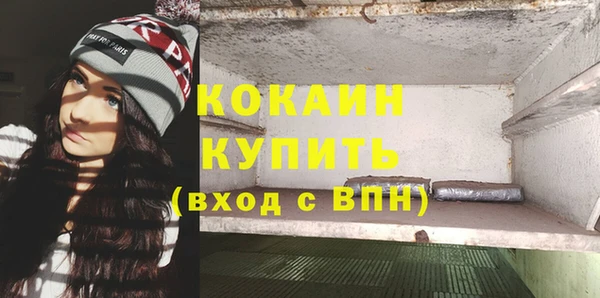 бошки Тавда